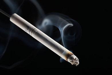 休闲模拟游戏《动物收容所2》序章内容即将免费发布 9月13日推出